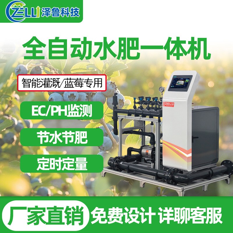 水肥一體機(jī)藍(lán)莓精量農(nóng)業(yè)全智能果園農(nóng)田大棚過濾滴噴灌溉 施肥設(shè)備