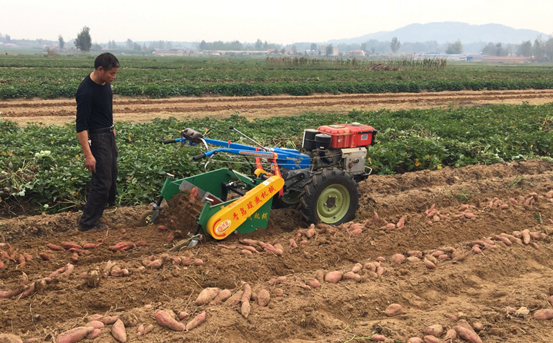 QQ圖片20161215142933_副本