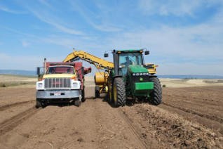 多寶路859土豆收獲機(jī)（面議）